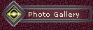 Photo Gallery